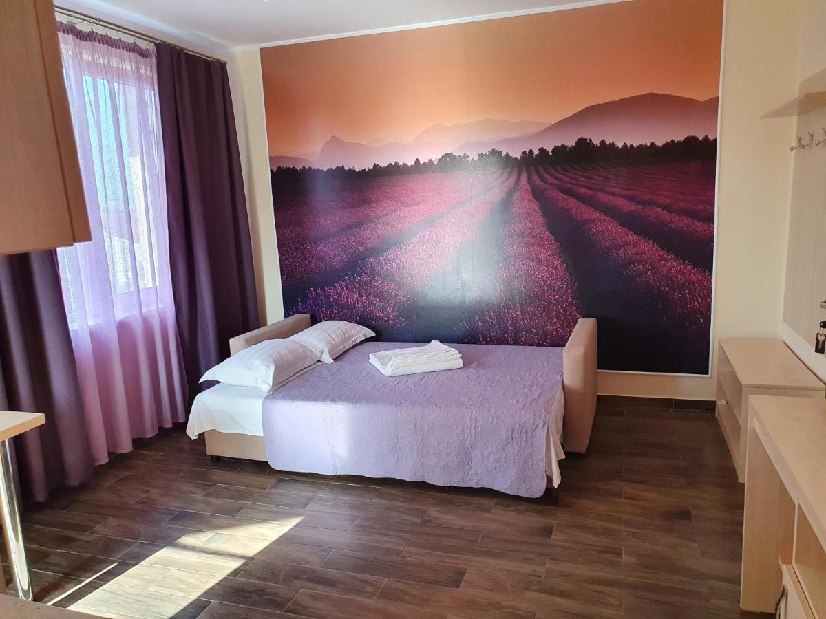 Vila Pacific コスティネシュティ 部屋 写真